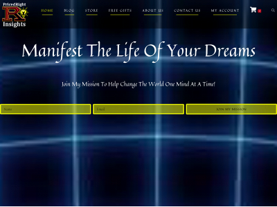 pricedrightinsights.com snapshot
