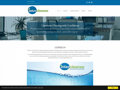 intercleanse.com snapshot