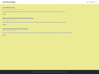 thefuturebuilder.org snapshot
