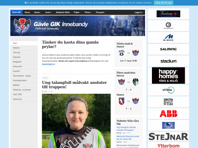 ggik.se snapshot