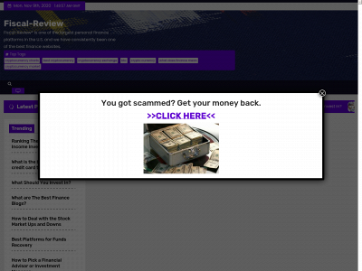 fiscal-review.com snapshot