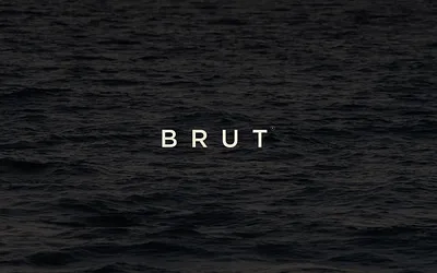 brutspecial.com snapshot