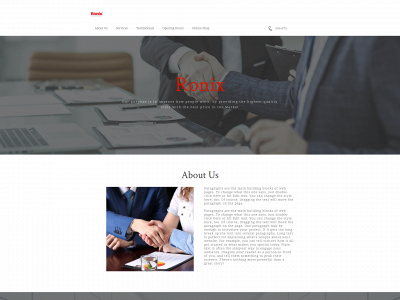 ronixmauritius.com snapshot