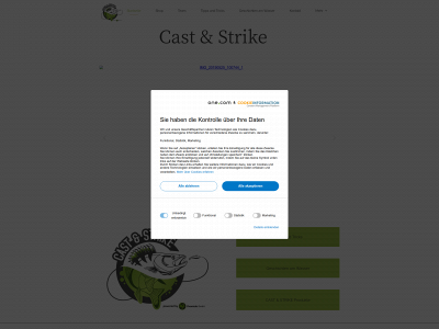 castandstrike.com snapshot