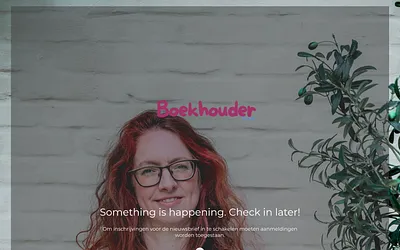 boekhoudertaal.be snapshot