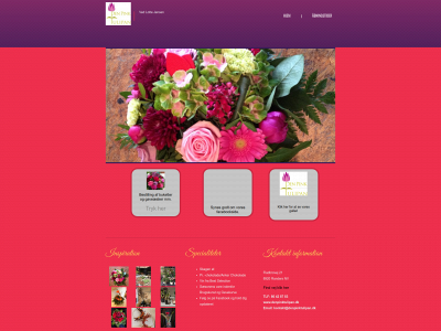 denpinktulipan.dk snapshot