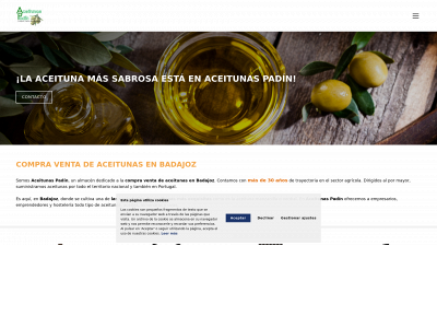 www.aceitunaspadin.es snapshot