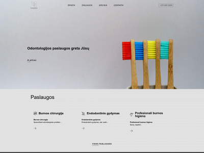 jovaidenta.lt snapshot