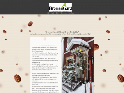bromangard.se snapshot