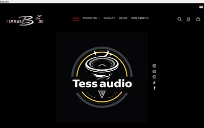 tessaudio.nl snapshot