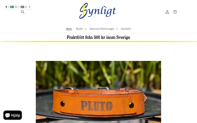 synligt.se snapshot