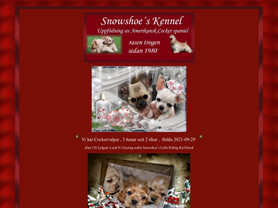 kennel-snowshoes.com snapshot