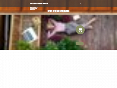 nfashop.dk snapshot