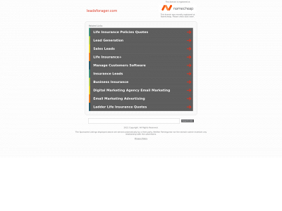 leadsforager.com snapshot