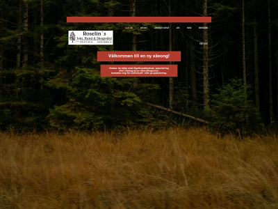 roselin.se snapshot