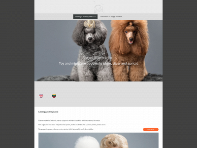 skpoodles.com snapshot