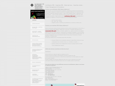 ingbrisong.be snapshot