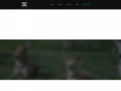 berlindogschool.com snapshot