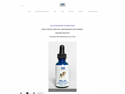 www.centaur-health.com snapshot