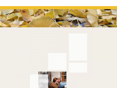 m-t-o.nl snapshot