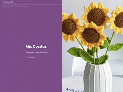 miscositasalbolote.com snapshot