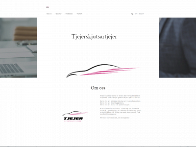 tjejerskjutsartjejer.se snapshot