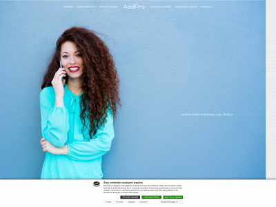 addpro.lt snapshot