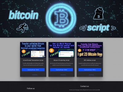 btcscript.net snapshot