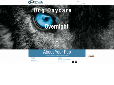 packmentalitydog.com snapshot