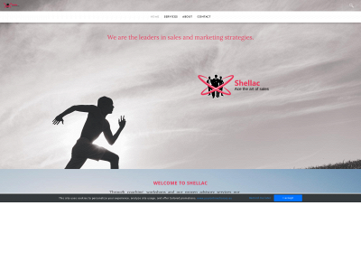 www.acetheartofsales.com snapshot