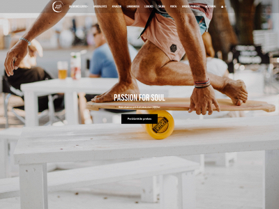 soulshack.lt snapshot