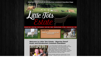 littletotsestate.com snapshot