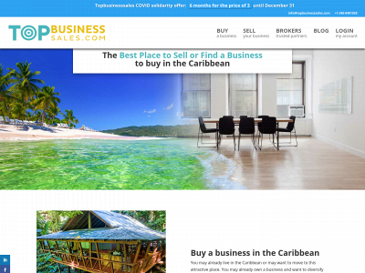 topbusinesssales.com snapshot