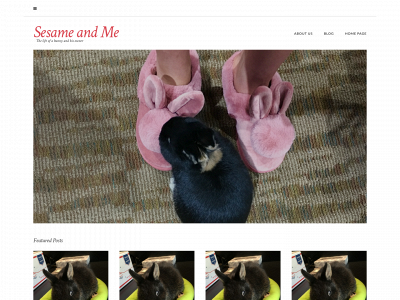 sesameandme.com snapshot