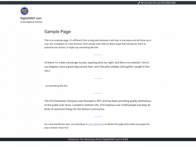 digitalsoat.com snapshot