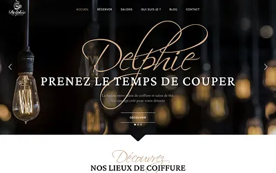 delphie.fr snapshot