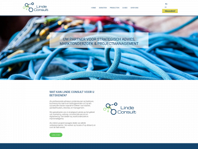 lindeconsult.nl snapshot