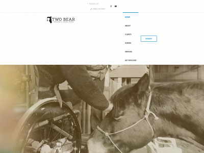 twobeartrc.com snapshot