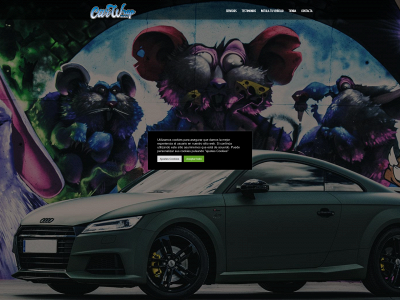 carwrapspain.com snapshot