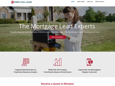 directmaileads.com snapshot