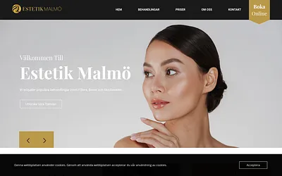 estetikmalmo.se snapshot