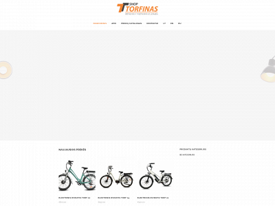 torfinas.lt snapshot