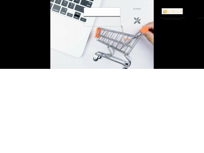 lincoinshop.com snapshot