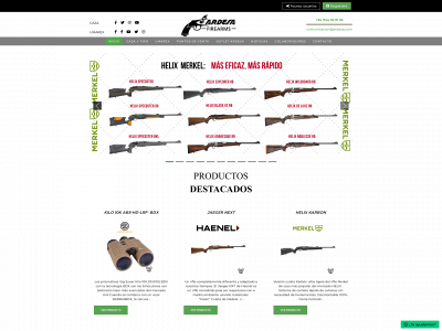 ardesa.com snapshot