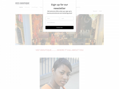 www.veesboutiques.com snapshot
