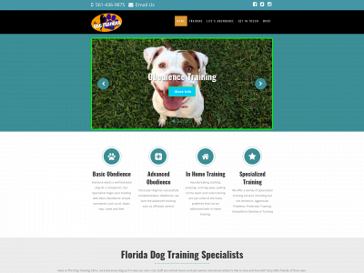 thedogtrainingclinic.com snapshot
