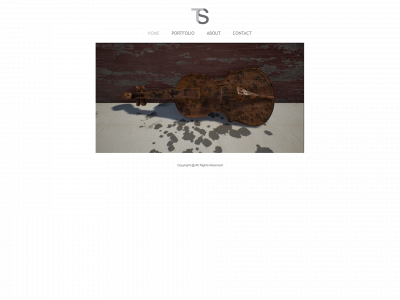 tylershultz.com snapshot