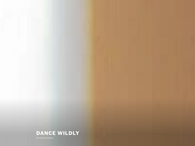 dancewildly.com snapshot
