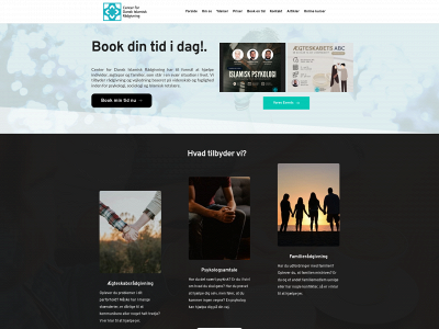 cdir.dk snapshot