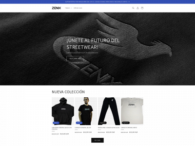 zenix.es snapshot